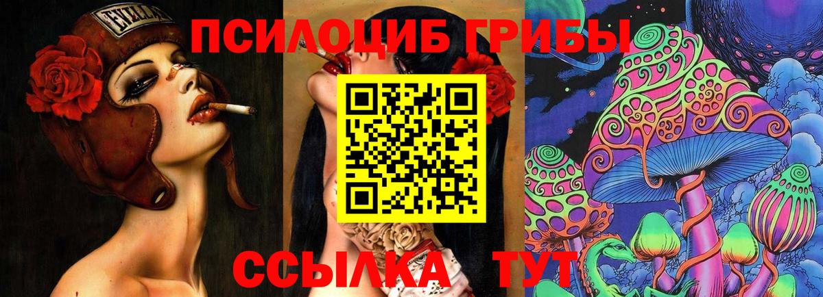 Галлюциногенные грибы мухоморы Апатиты