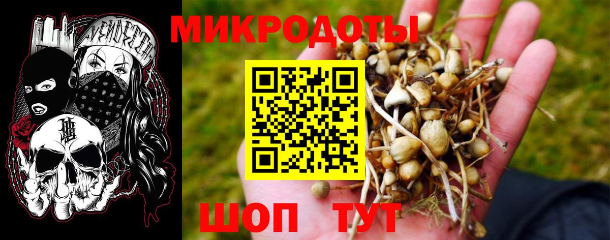 даркнет сайт  Вход с VPN  Псилоцибиновые грибы Cubensis  Апатиты  Галлюциногенные грибы GOLDEN TEACHER 